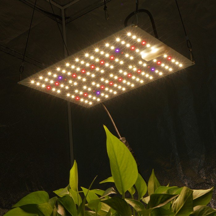 65W Led Grow Tube